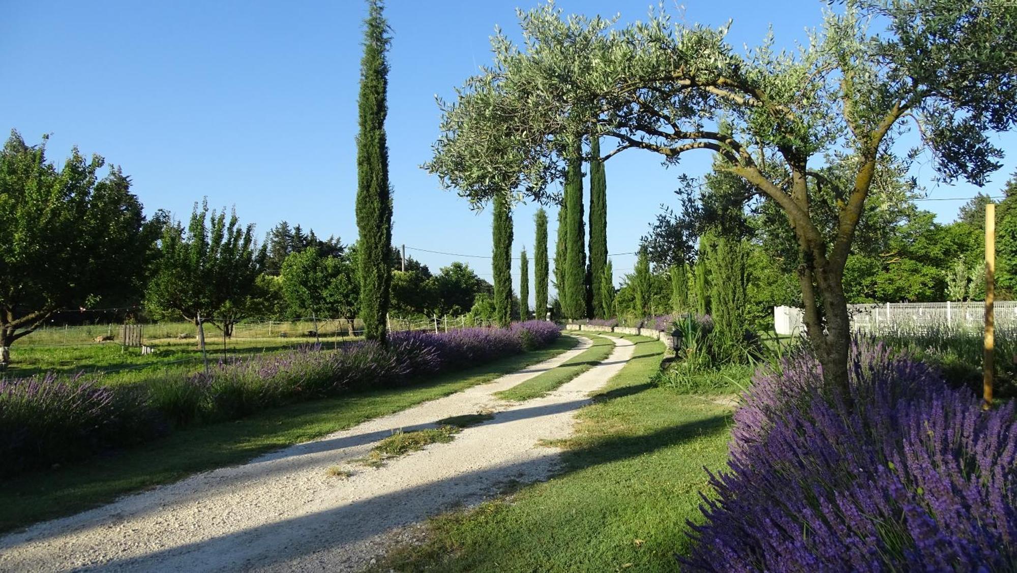 Le Mas De La Jardine Velleron Exterior foto